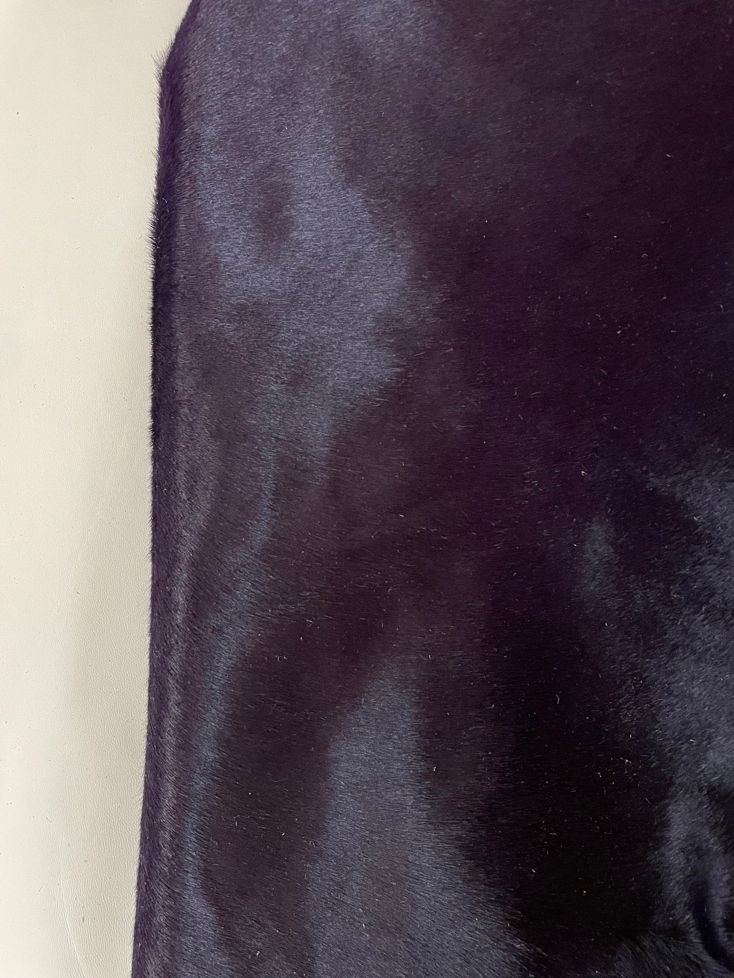 HAIRY PURPLE