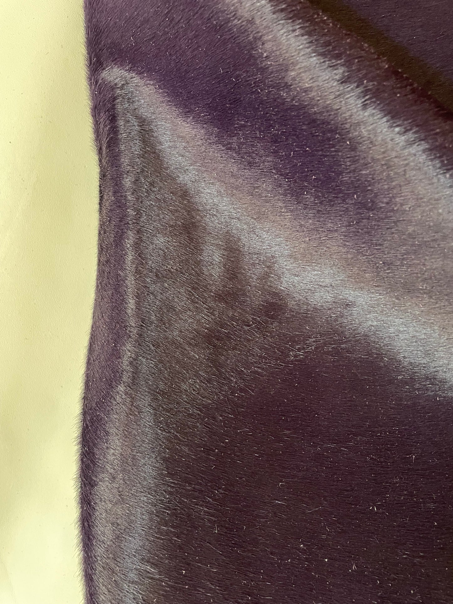 HAIRY PURPLE