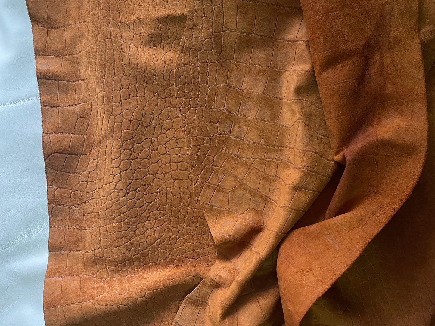 CAMEL KROKO - GOV. VELOR LEATHER