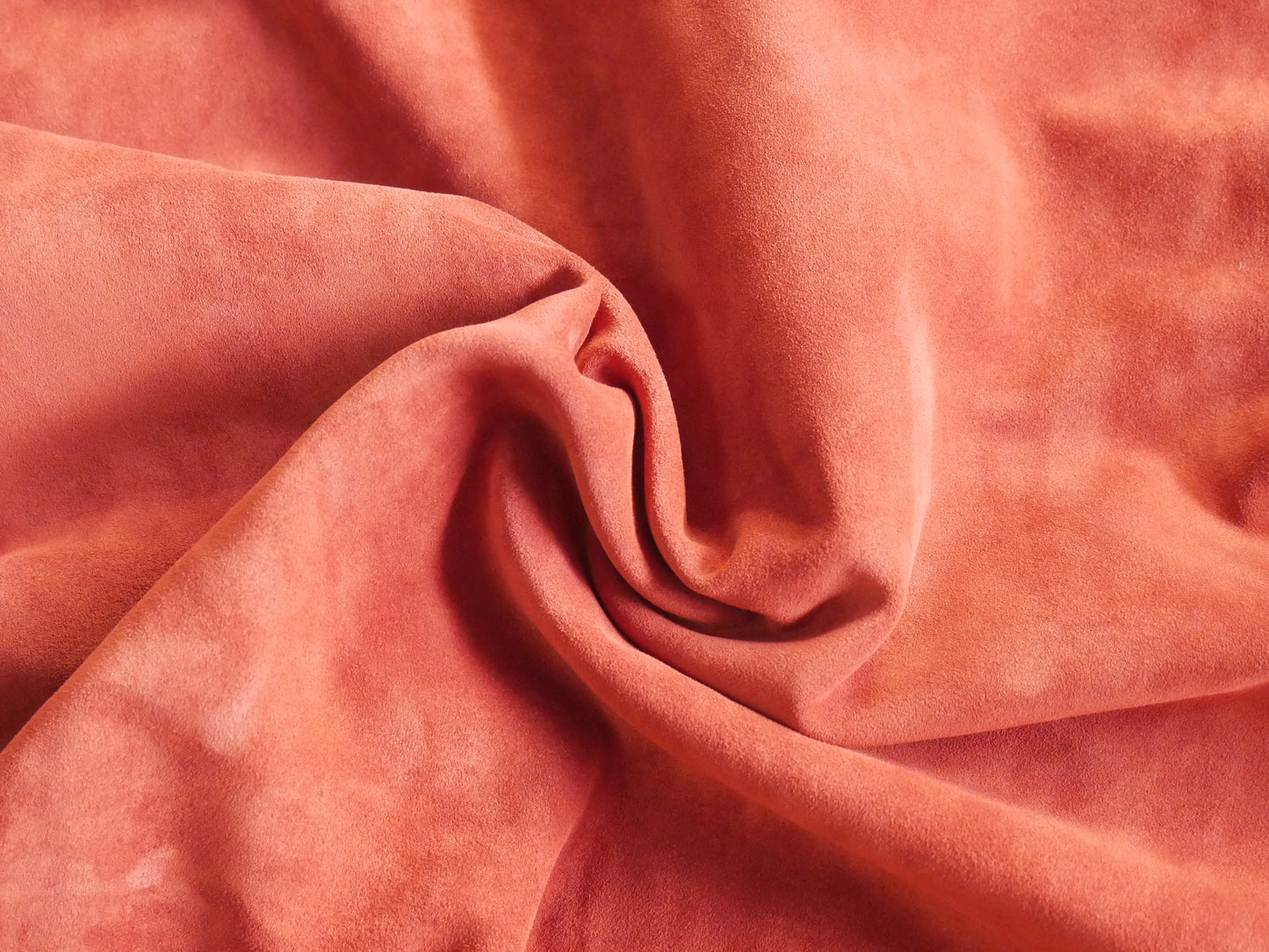 SALMONE - GOV. K0ŽA VELUR