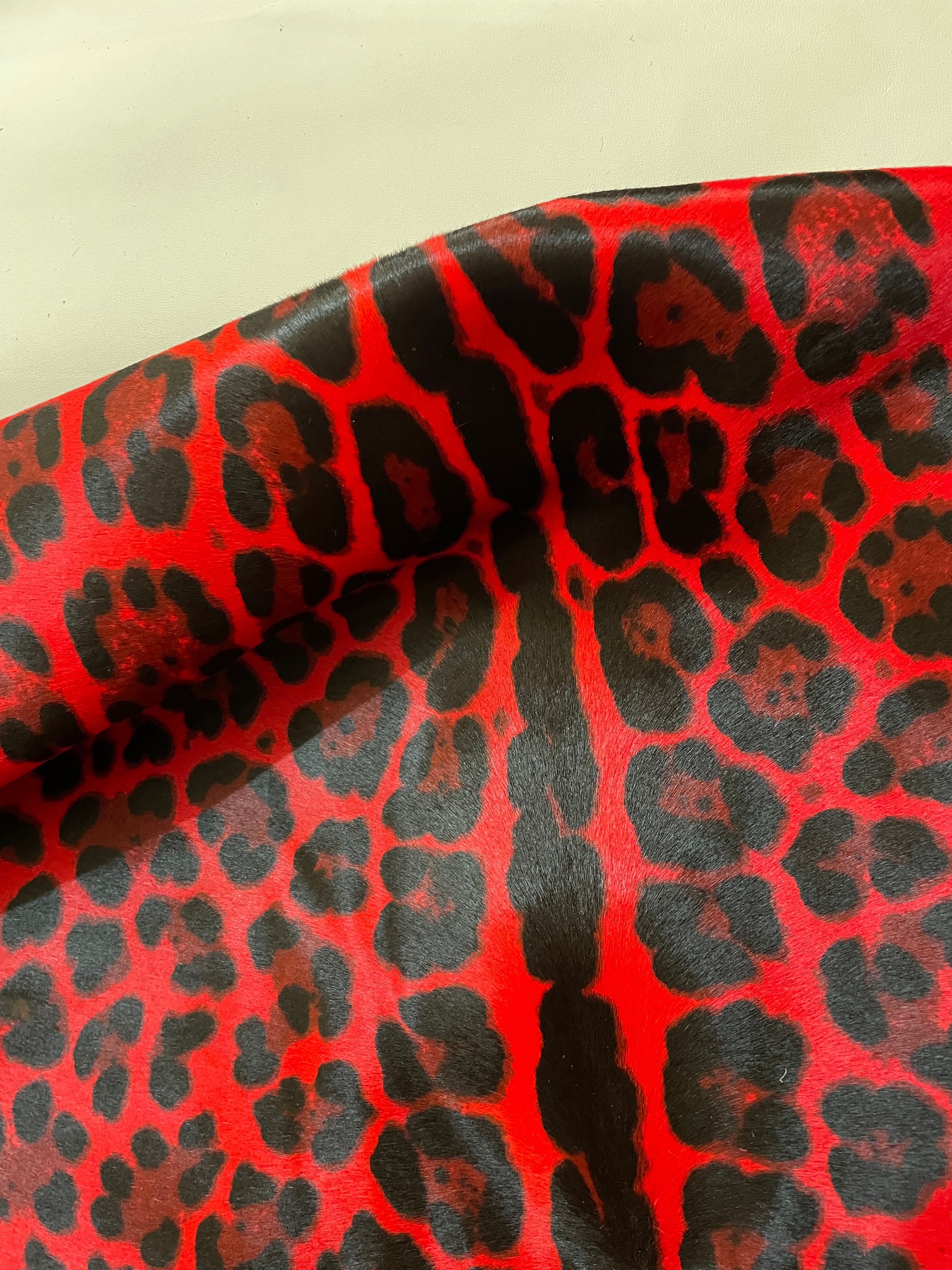 LEO ROSSO CAVALLINO