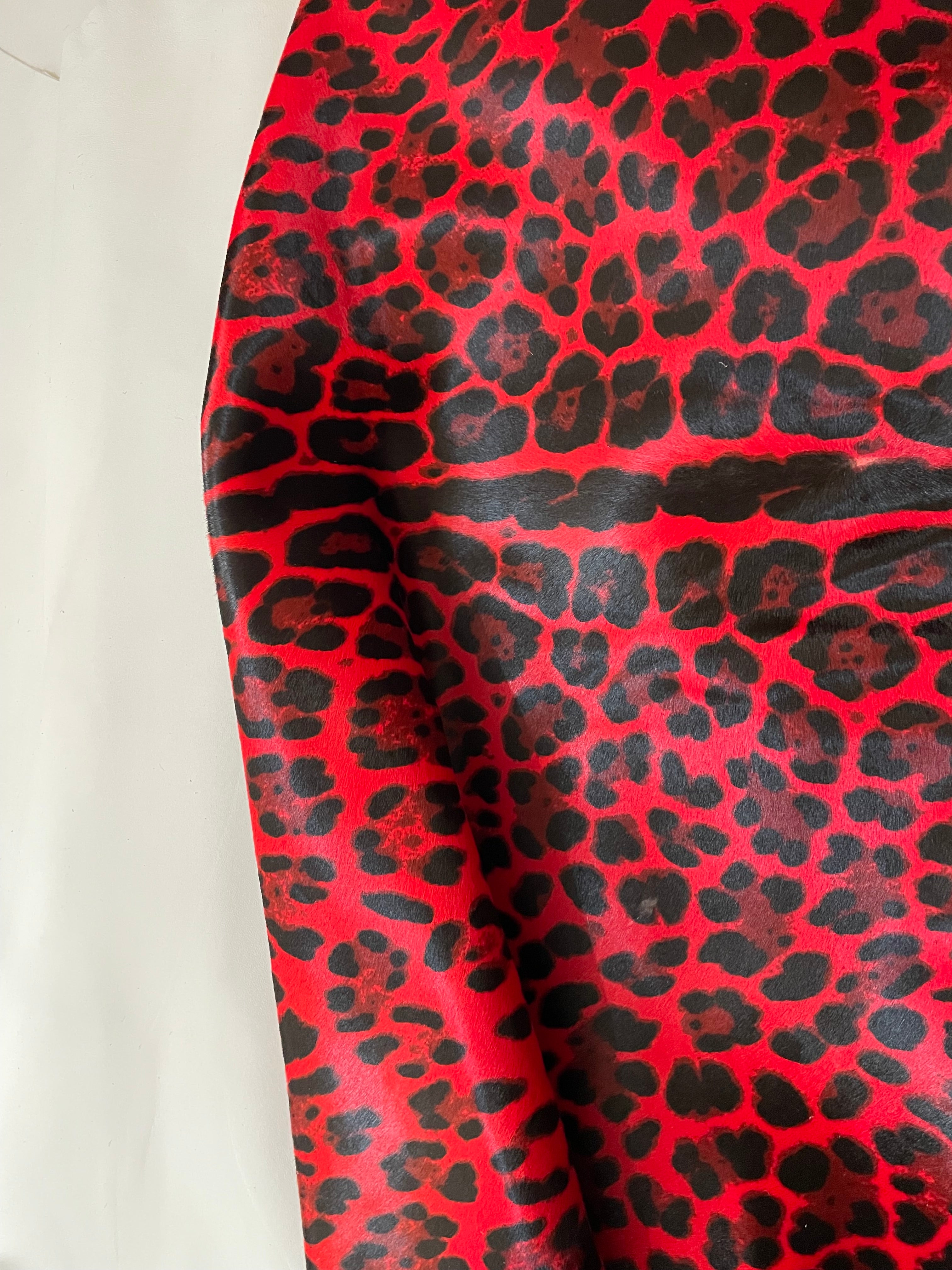 LEO ROSSO CAVALLINO