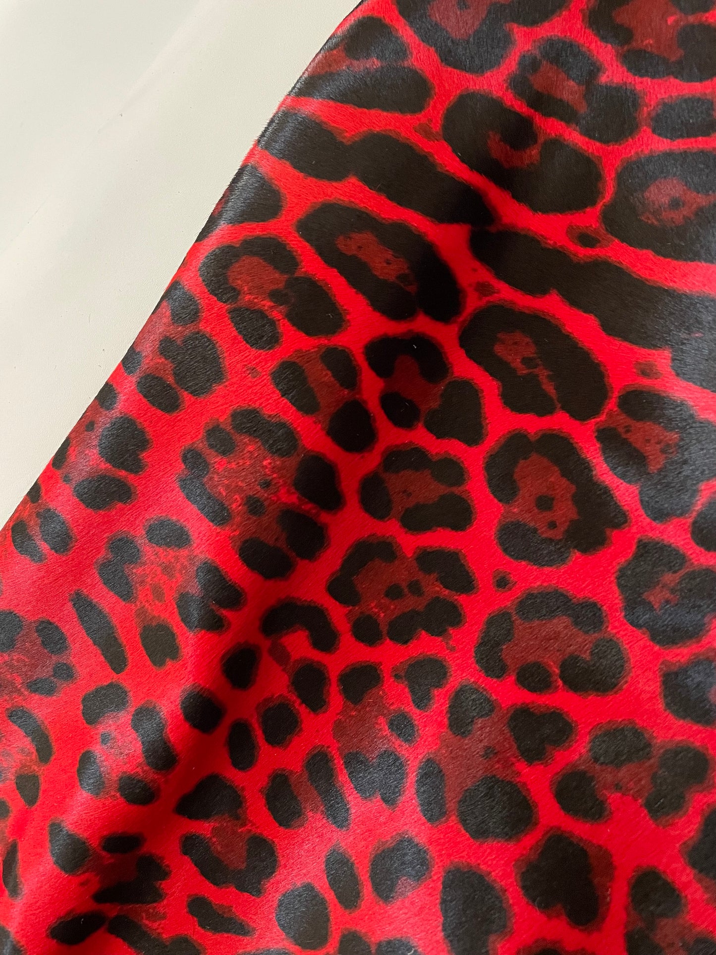 LEO ROSSO CAVALLINO