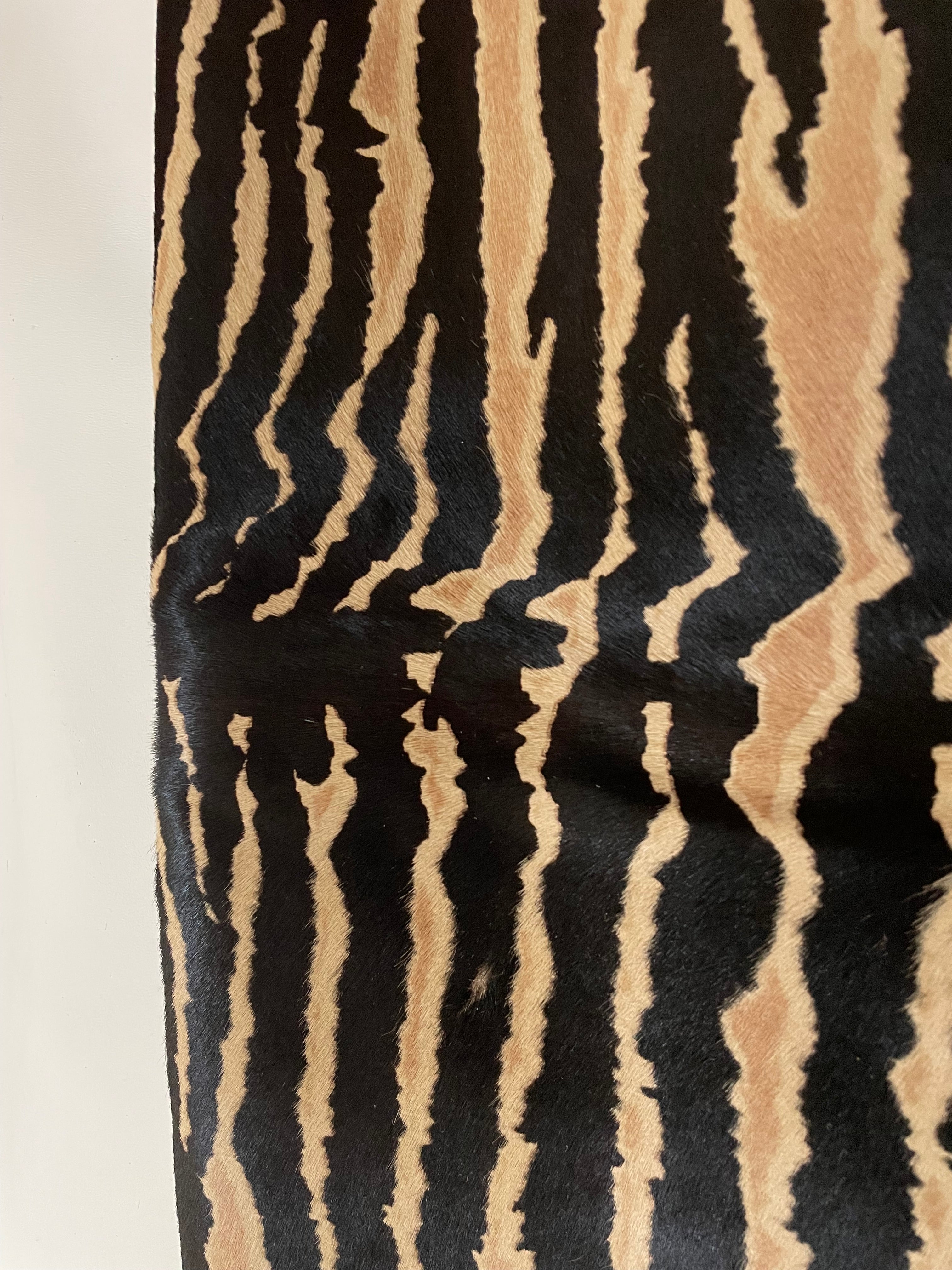 CAVALLINO ZEBRA