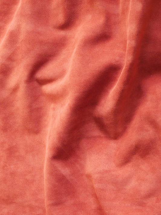 SALMONE - GOV. K0ŽA VELUR