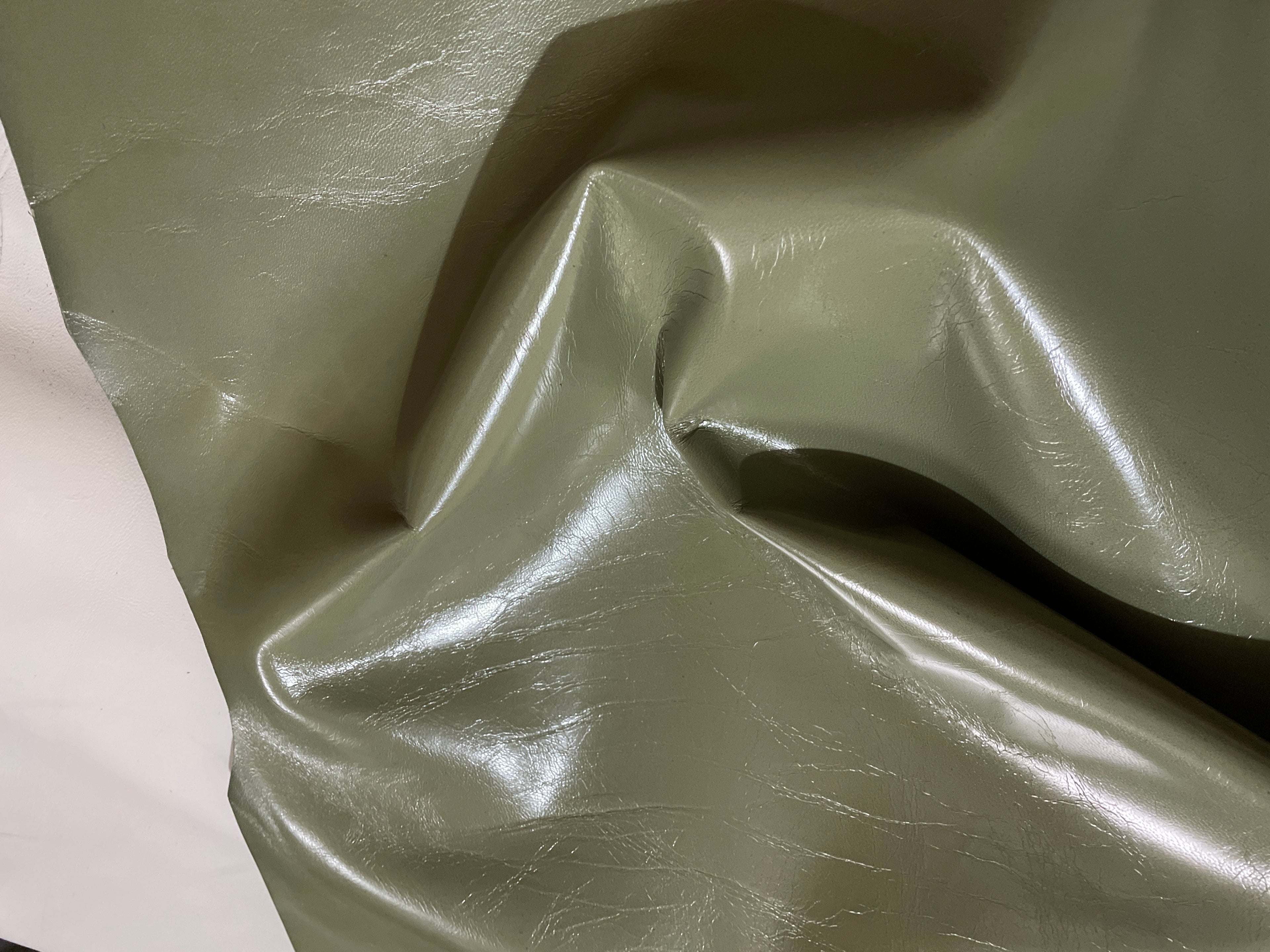SHINY OLIVE