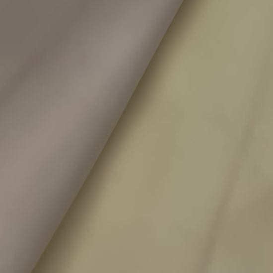 prirodna koža, prirodna italijanska koža, koža za automobile, kvalitetna italijanska koža, prodaja koze beograd, prodaja kože beograd, koža za tapaciranje